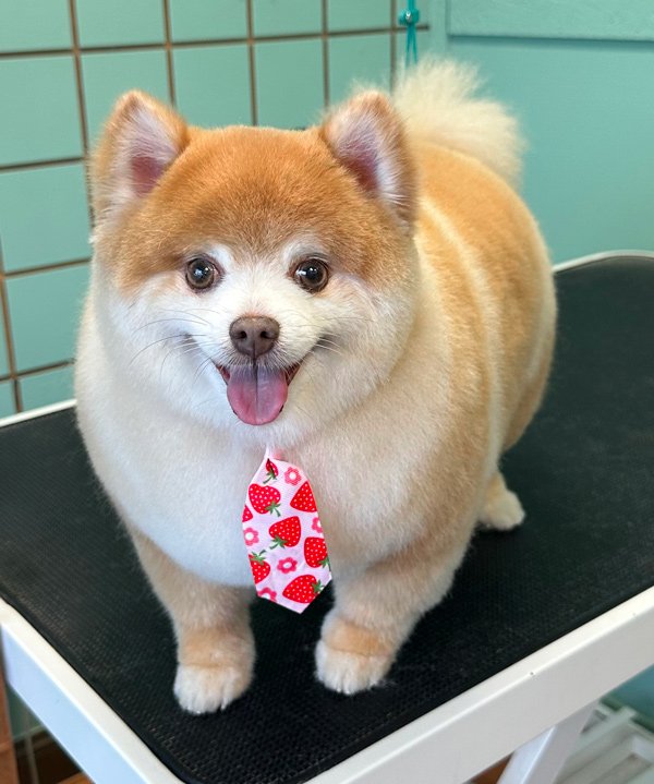 j_pom