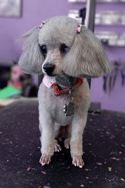 lilcutie1