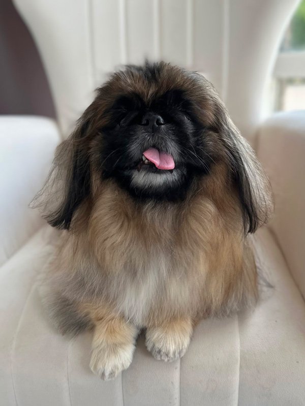 lilguy2